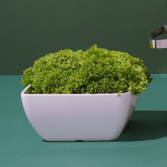 Square Melamine Bowl, White, 250x250x(h)120mm-Square bowl